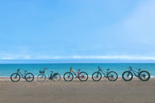 海×自転車