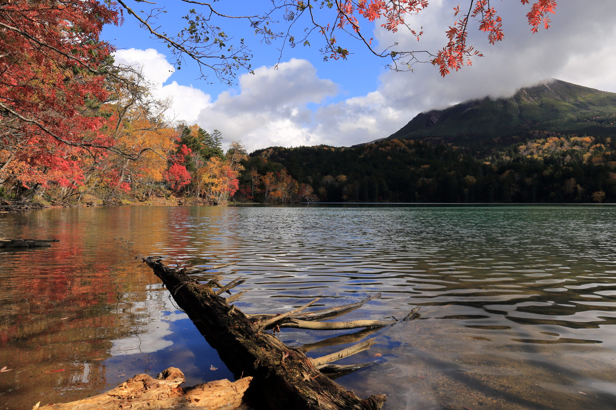 紅葉する秘境湖・オンネトーの様子