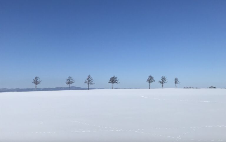 冬・雪景色の女満別メルヘンの丘の写真