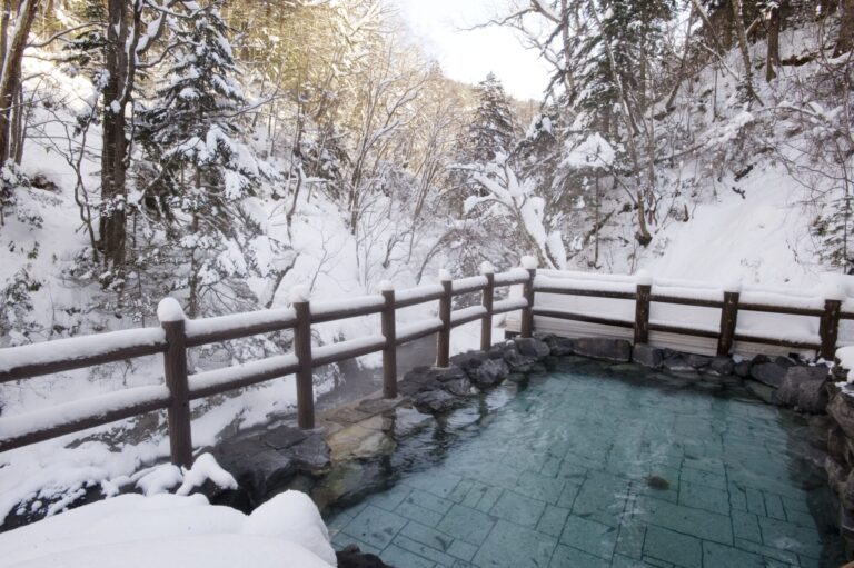 冬のトムラウシ温泉東大雪荘の露天風呂の様子