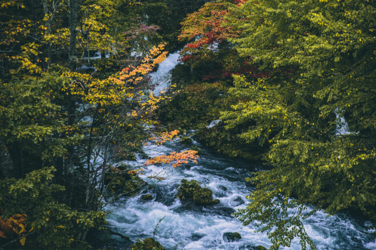阿寒湖・滝見橋の紅葉の様子